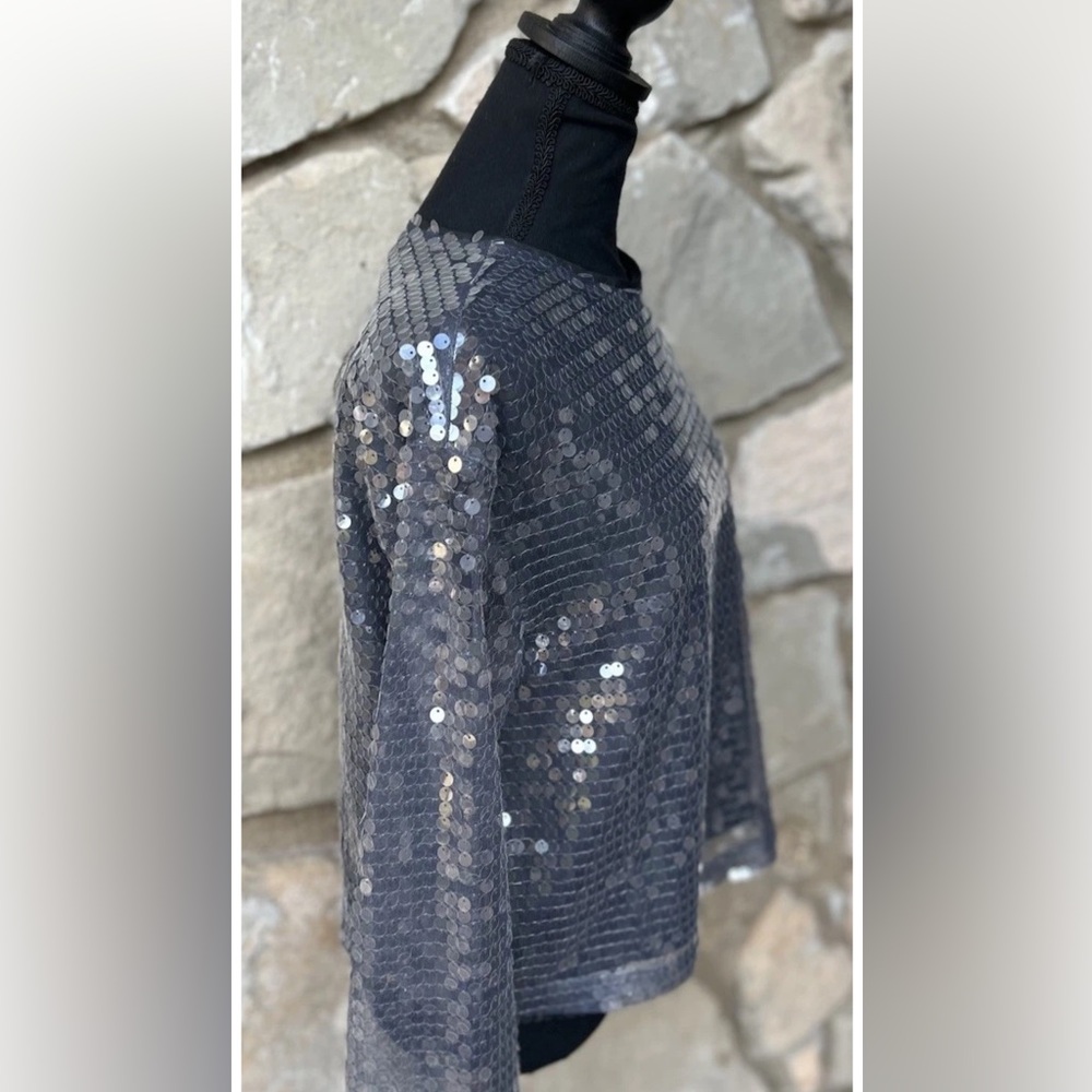 Bold Elements Sequin Blouse Top Size Medium Gray Mesh Lined Long Slv Excellent - Picture 4 of 7